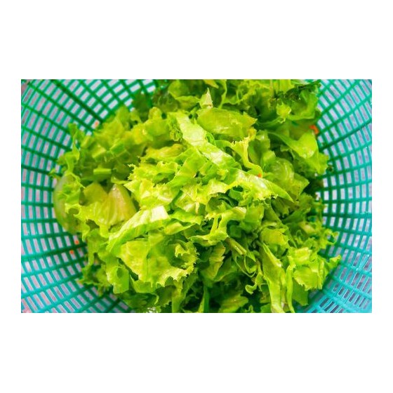 Essoreuse salade manuelle 20 litres pour professionnels - Dynamic