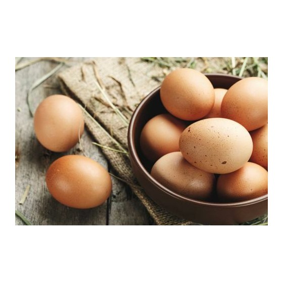 Blanc œuf poudre sac 1 kg