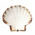 Coquilles et supports adaptés