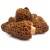 Truffes et champignons